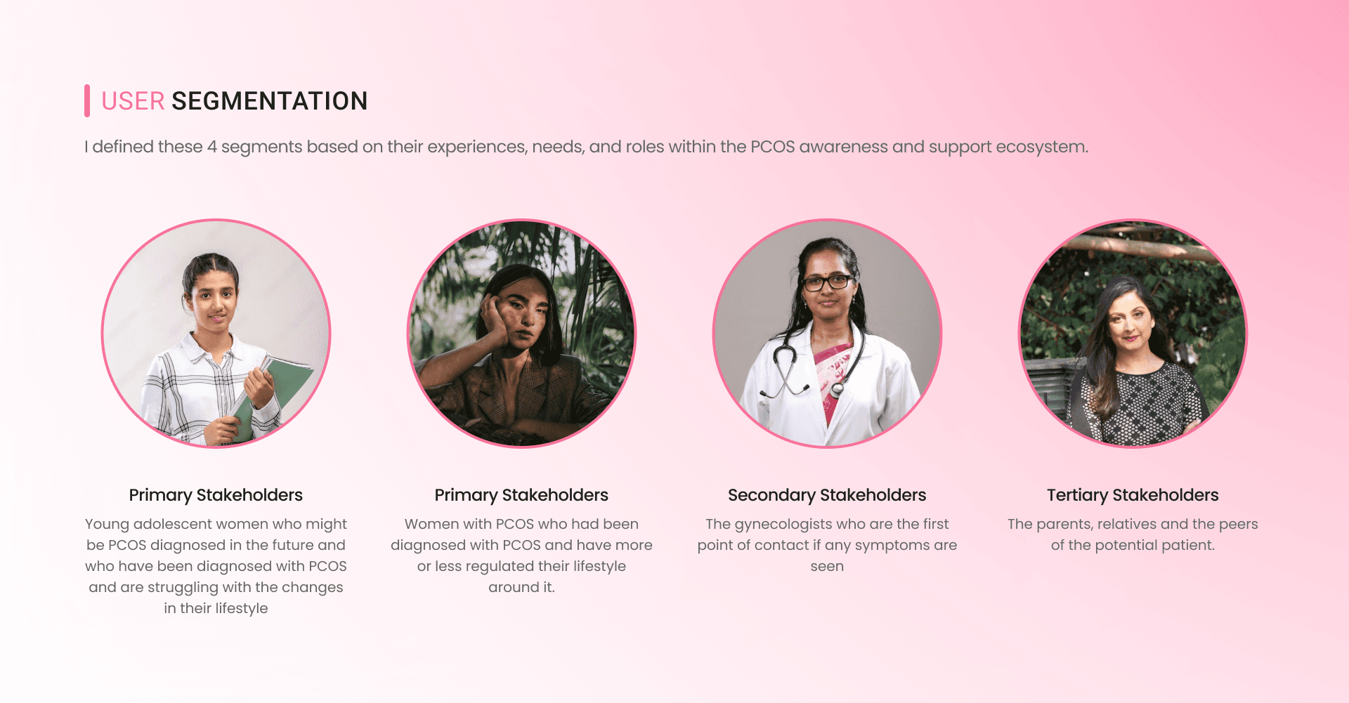 User Segmentation - Primary, Secondary, and Tertiary Stakeholders